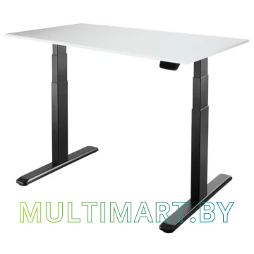 Стол для работы стоя ErgoSmart Unique Ergo Desk 1380x800x18мм (альпийский белый/черный)